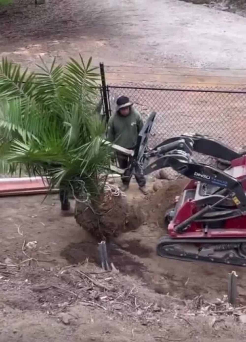 Tree Removal image