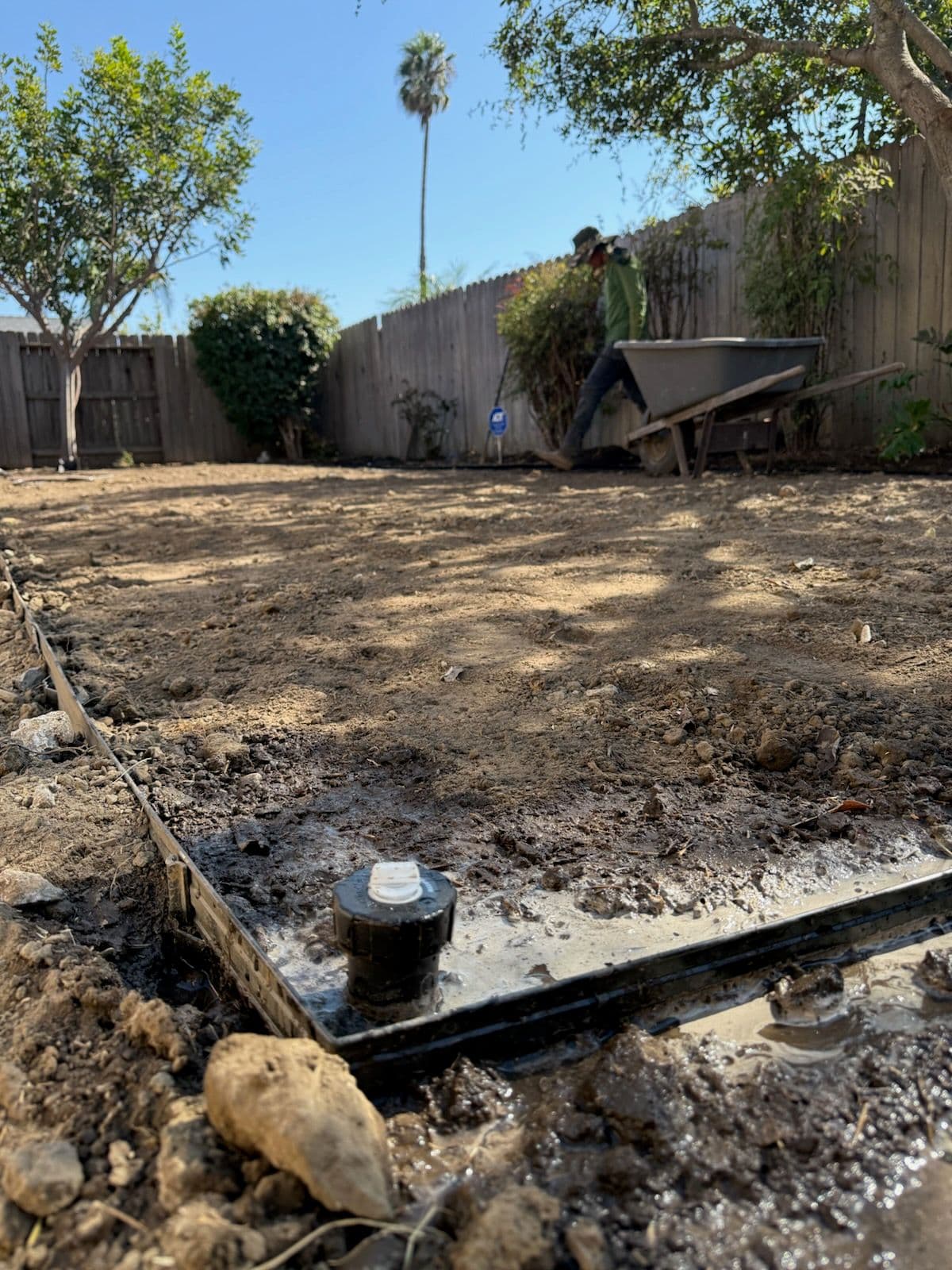 Project Revitalize Your Backyard with Expert Grading image