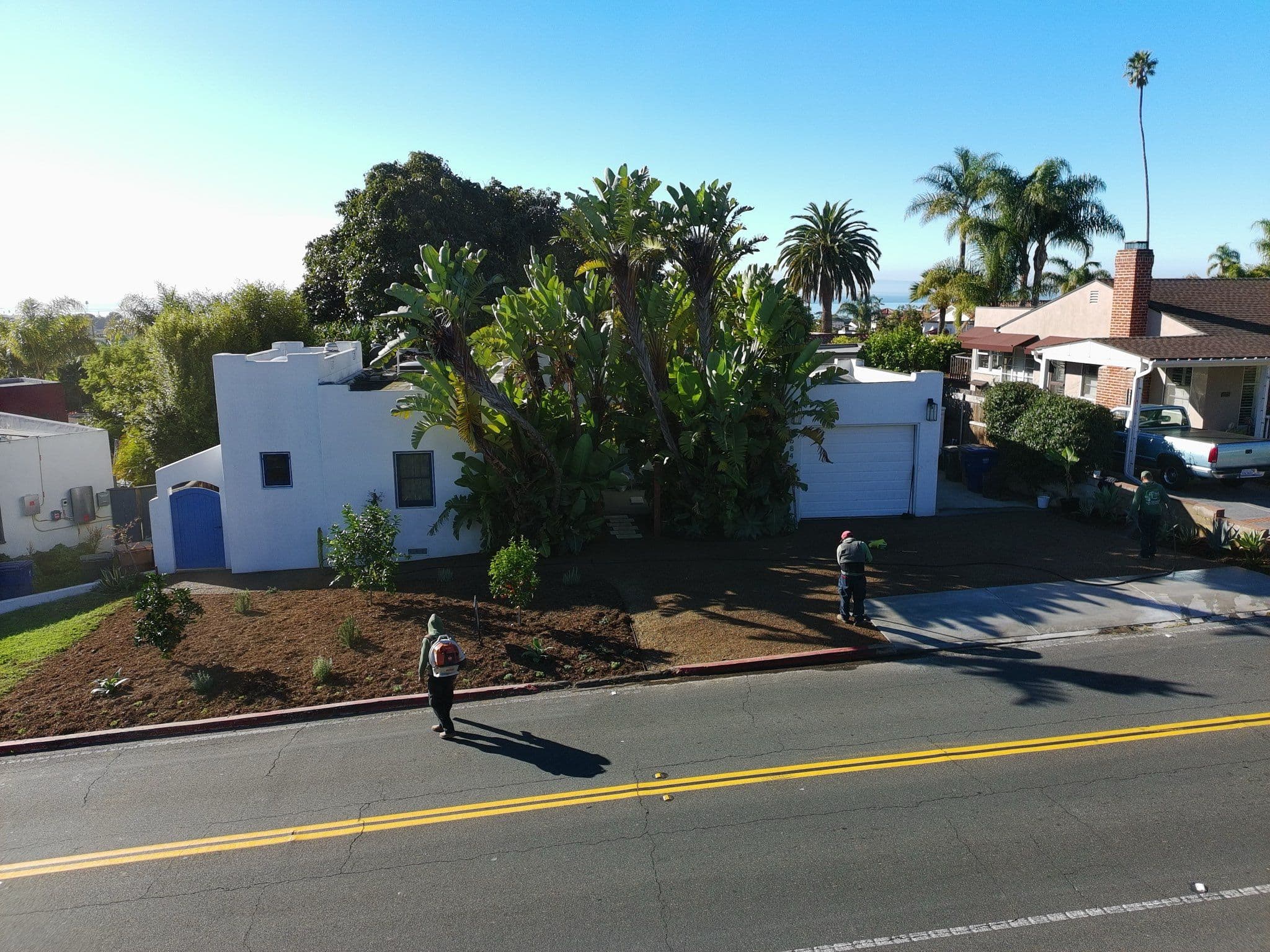 Project Front Yard Makeover with New Driveway and Hedge Trimming image