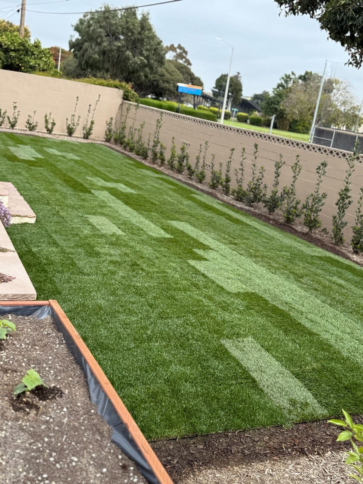 Backyard Lawn and Garden Upgrade image