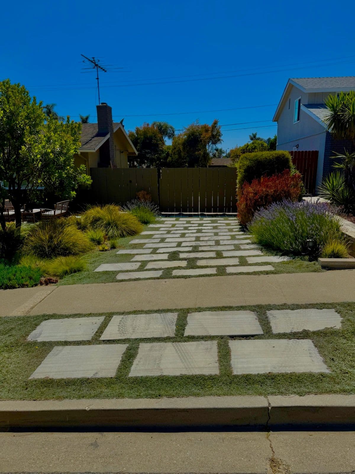 Dymondia Elegance Driveway Upgrade image