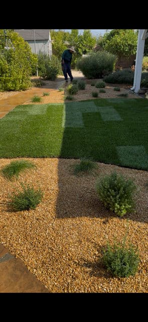 Checkerboard Lawn and Elegant Pathway Transformation image