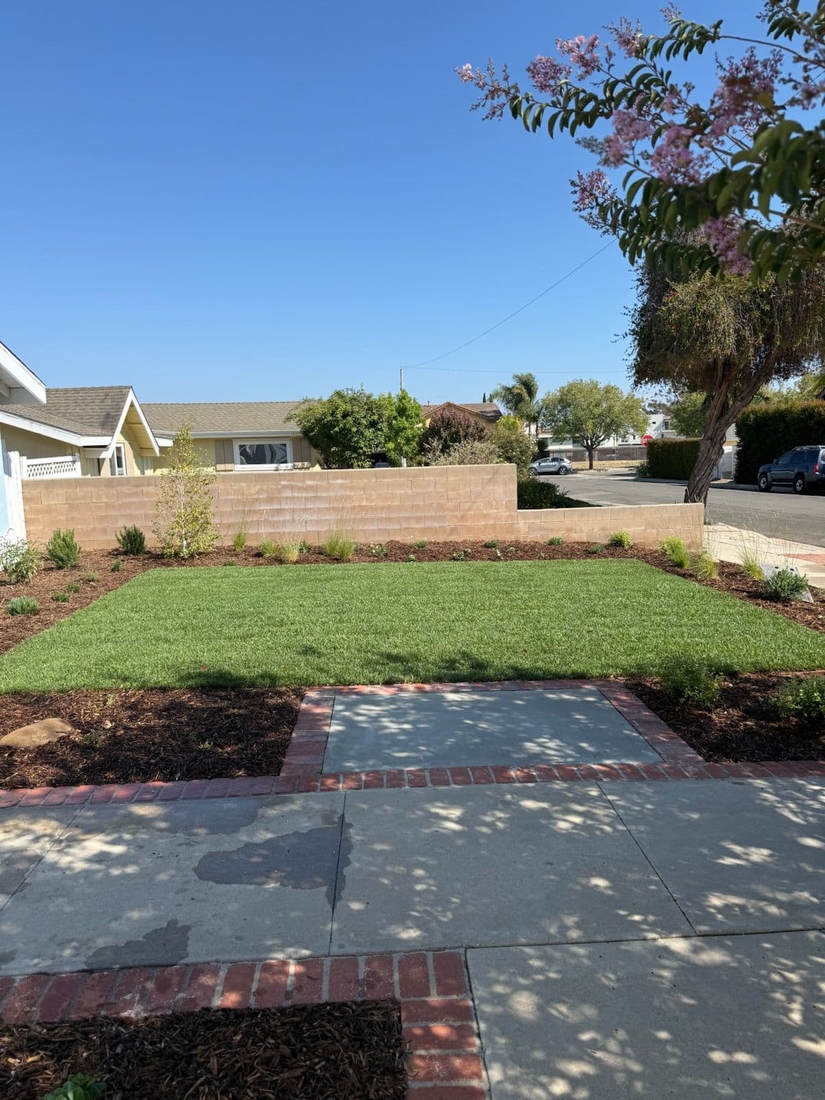 Project Fresh Mulch, New Plants, and Updated Sprinklers Done Right image