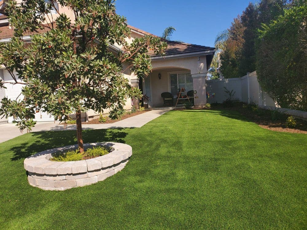Gallery photos for Artificial Turf: Image #2