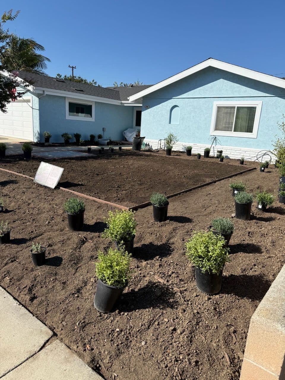 Front Yard Overhaul with Drought-Tolerant Plants and Fresh Hardscape image